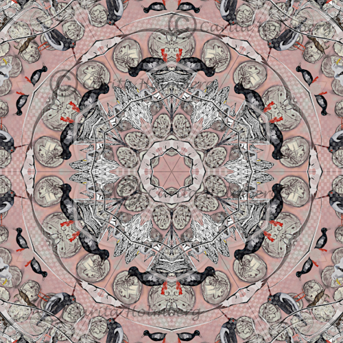 Carita K design
